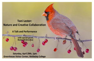 Toni Lester: Nature and Creative Collaboration @ Greenhouse Visitor Center, Wellesley College | Wellesley | Massachusetts | United States